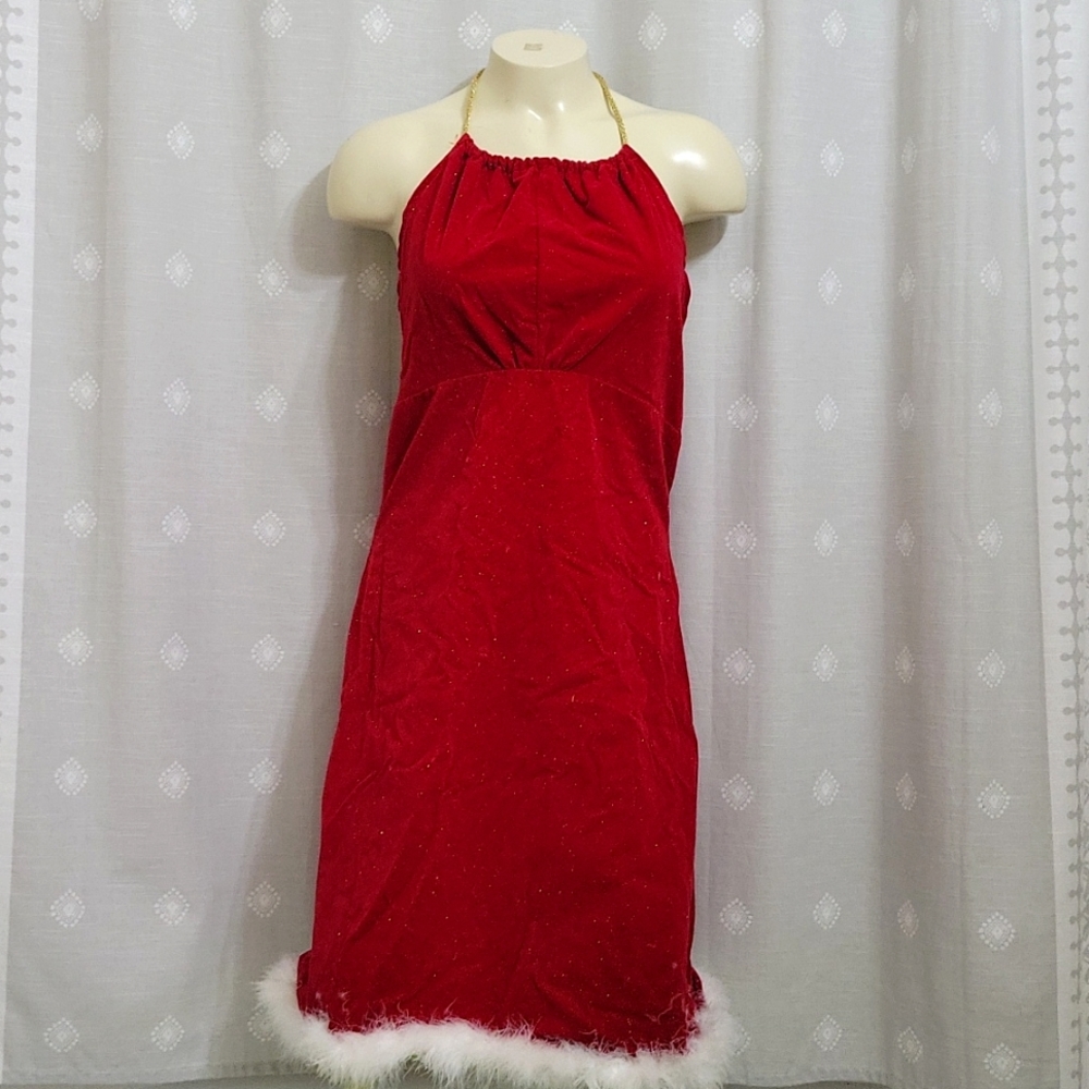 Red Christmas Dress with Gold Sparkles and White Feather Trim